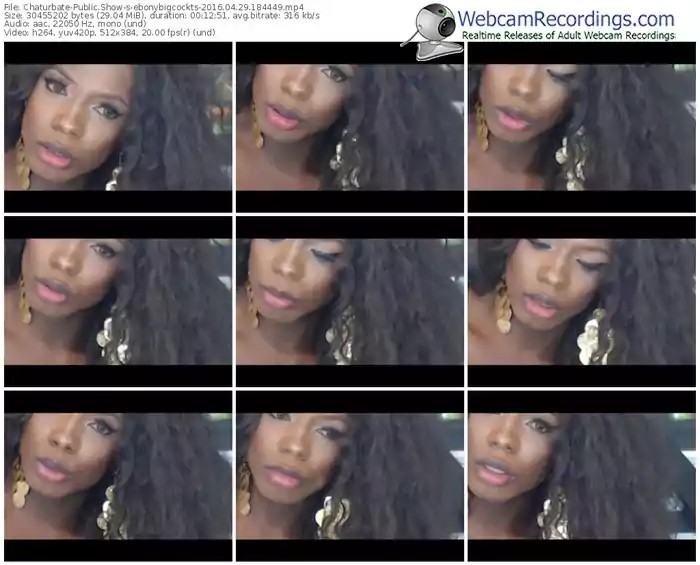 chaturbate-ebonybigcockts-webcam-show-04_29_2016-18_44_49