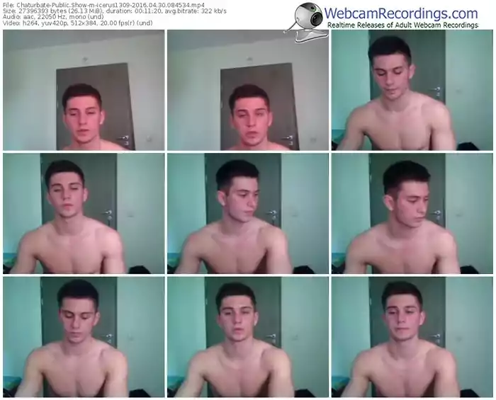 chaturbate-icerus1309-webcam-show-04_30_2016-08_45_34