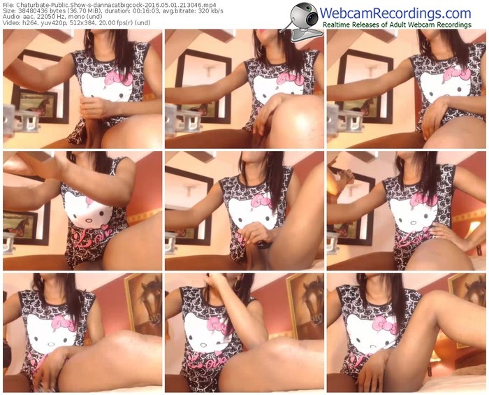 chaturbate-dannacatbigcock-webcam-show-05_01_2016-21_30_46