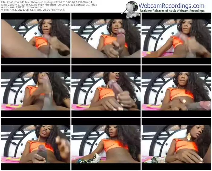 chaturbate-ebonybigcockts-webcam-show-05_02_2016-17_51_08