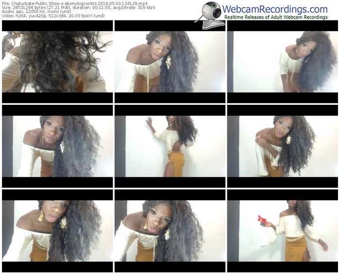 chaturbate-ebonybigcockts-webcam-show-05_03_2016-13_41_29