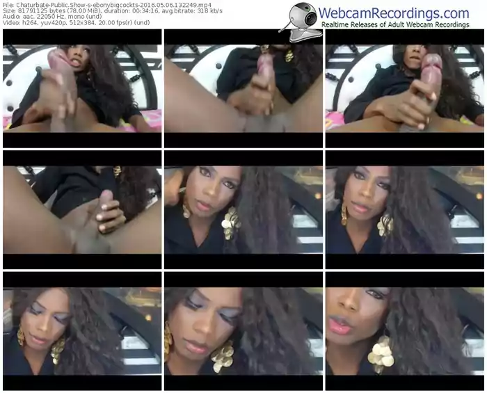 chaturbate-ebonybigcockts-webcam-show-05_06_2016-13_22_49
