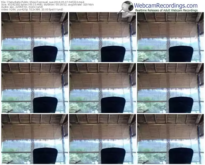 chaturbate-sensual_sue-webcam-show-05_07_2016-04_53_10