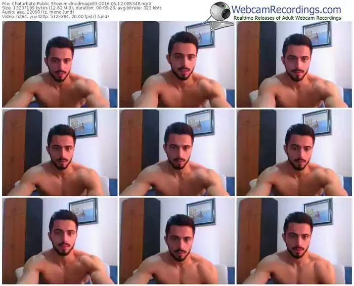 chaturbate-druidmage93-webcam-show-05_12_2016-08_53_48