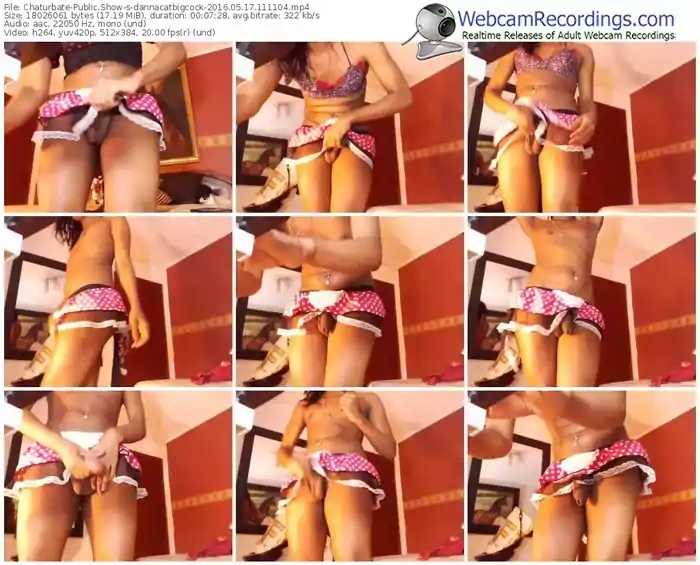 chaturbate-dannacatbigcock-webcam-show-05_17_2016-11_11_04