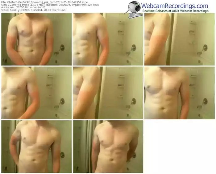 chaturbate-j_pal_dom-webcam-show-05_26_2016-04_23_57