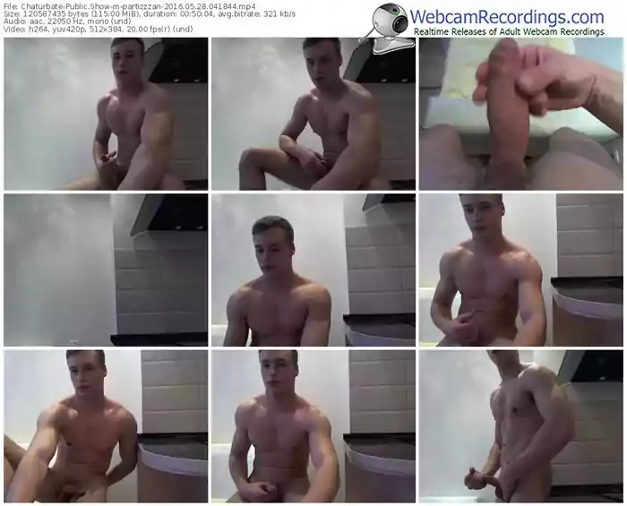 chaturbate-partizzzan-webcam-show-05_28_2016-04_18_44