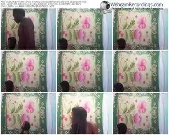 chaturbate-horsecock23andshemale-webcam-show-05_28_2016-19_13_30