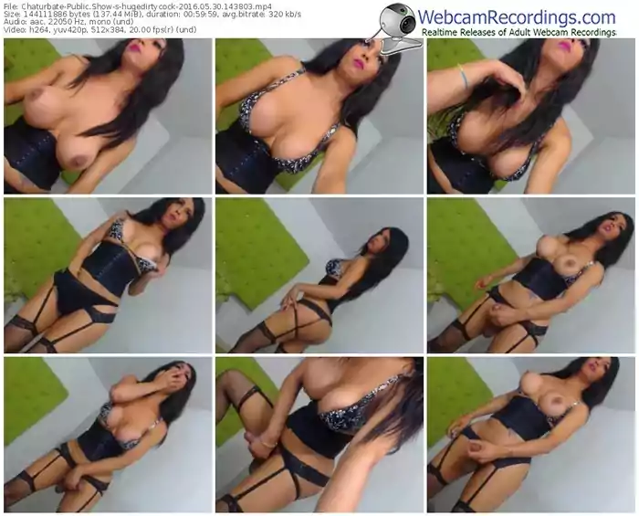 chaturbate-hugedirtycock-webcam-show-05_30_2016-14_38_03