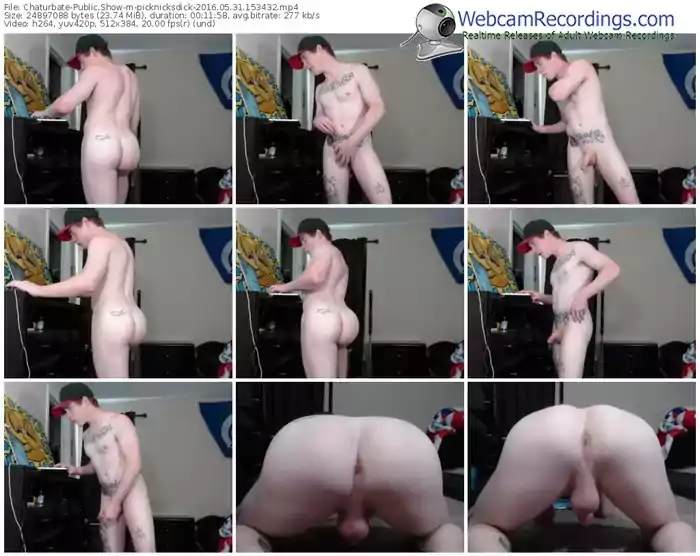 chaturbate-picknicksdick-webcam-show-05_31_2016-15_34_32