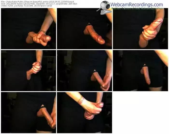 chaturbate-beautiful_penis-webcam-show-06_01_2016-22_54_59