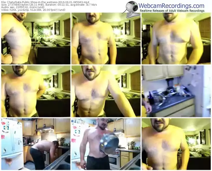 chaturbate-the_wetness-webcam-show-06_01_2016-04_59_43