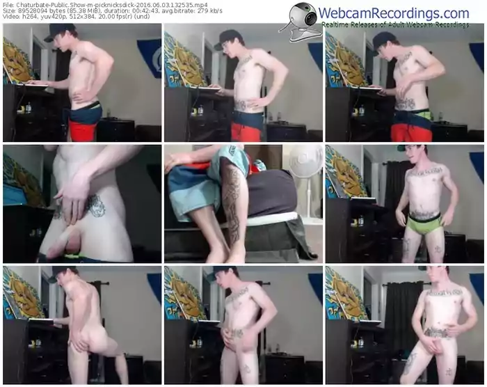 chaturbate-picknicksdick-webcam-show-06_03_2016-13_25_35
