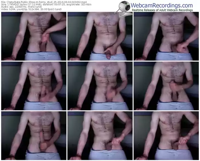 chaturbate-horny_stud_25-webcam-show-06_04_2016-04_34_32