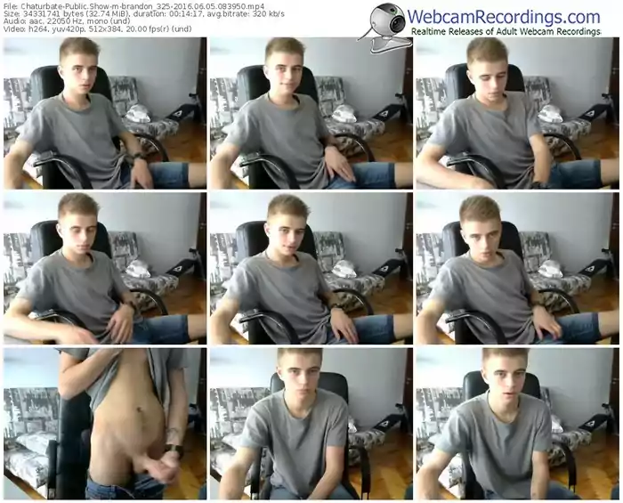 chaturbate-brandon_325-webcam-show-06_05_2016-08_39_50