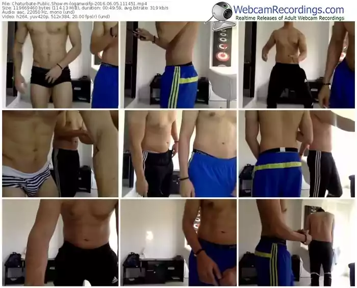 chaturbate-loganwolfp-webcam-show-06_05_2016-11_14_51
