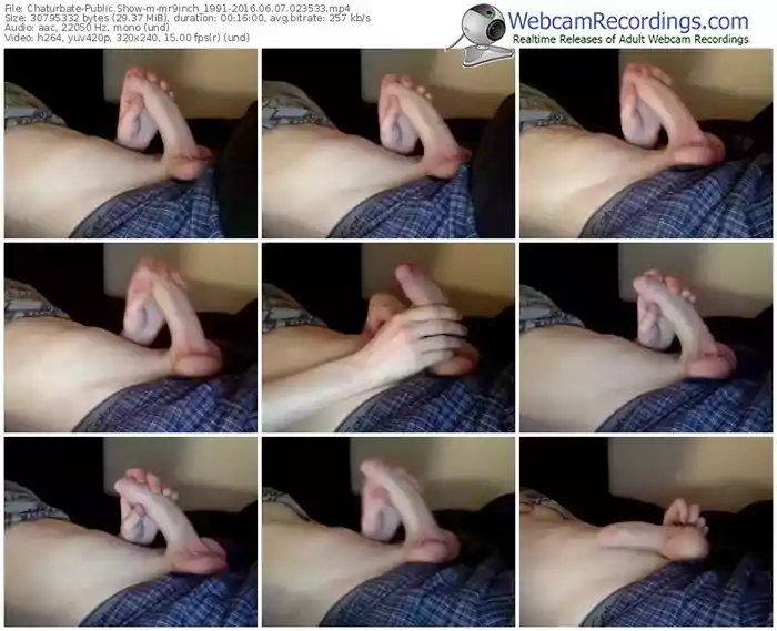 chaturbate-mr9inch_1991-webcam-show-06_07_2016-02_35_33