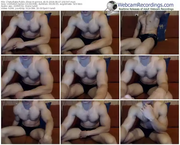 chaturbate-prince_d1ck-webcam-show-06_07_2016-20_15_47