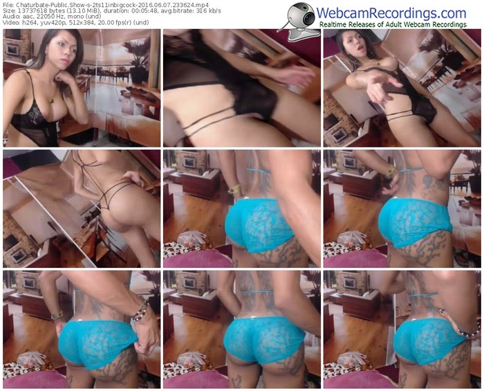 chaturbate-2ts11inbigcock-webcam-show-06_07_2016-23_36_24