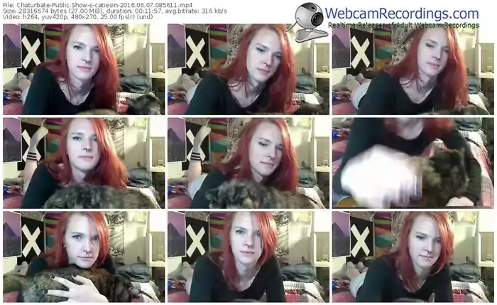 chaturbate-catiesin-webcam-show-06_07_2016-08_56_11