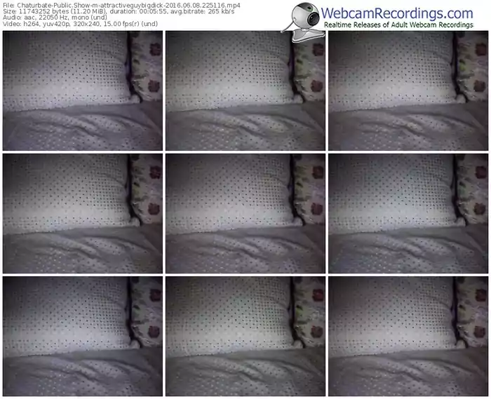 chaturbate-attractiveguybigdick-webcam-show-06_08_2016-22_51_16