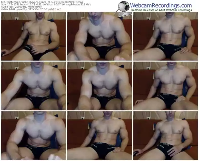 chaturbate-prince_d1ck-webcam-show-06_08_2016-21_21_15