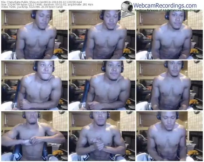 chaturbate-leo0812x-webcam-show-06_12_2016-12_22_30