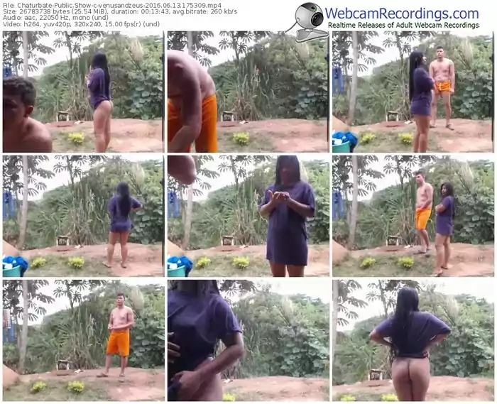 chaturbate-venusandzeus-webcam-show-06_13_2016-17_53_09