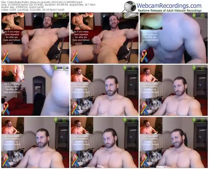 chaturbate-jwsinslv-webcam-show-06_13_2016-04_56_59