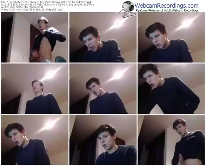 chaturbate-boyalwayshorny-webcam-show-06_14_2016-06_42_22