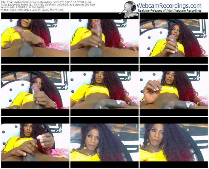 chaturbate-ebonybigcockts-webcam-show-06_16_2016-16_25_01