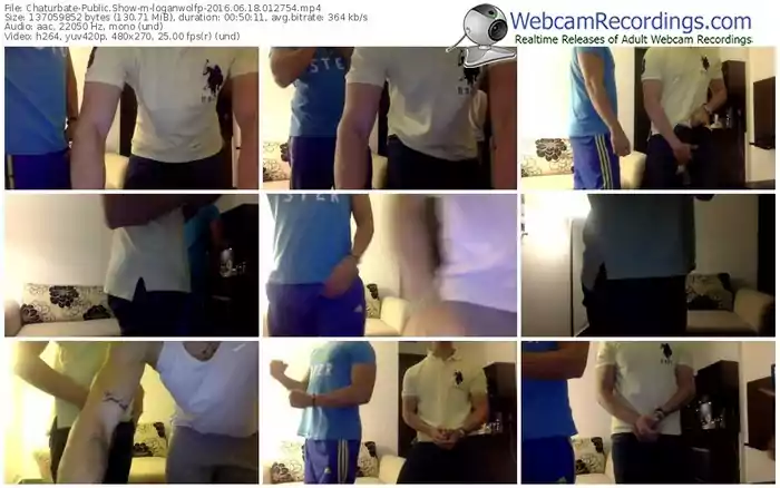 chaturbate-loganwolfp-webcam-show-06_18_2016-01_27_54