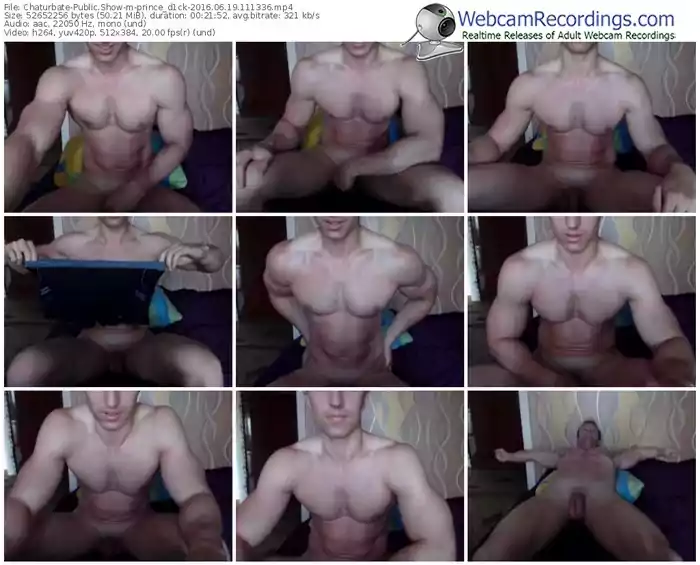 chaturbate-prince_d1ck-webcam-show-06_19_2016-11_13_36