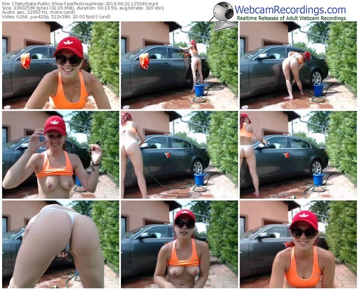 chaturbate-perfectcouplesex-webcam-show-06_20_2016-12_55_40