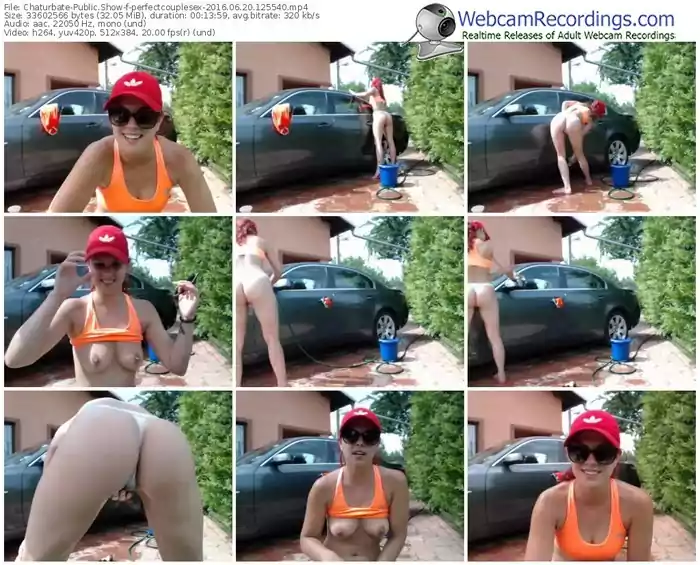 chaturbate-perfectcouplesex-webcam-show-06_20_2016-12_55_40