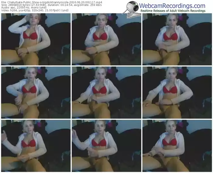 chaturbate-bigdicktrannynicole-webcam-show-06_20_2016-00_11_17