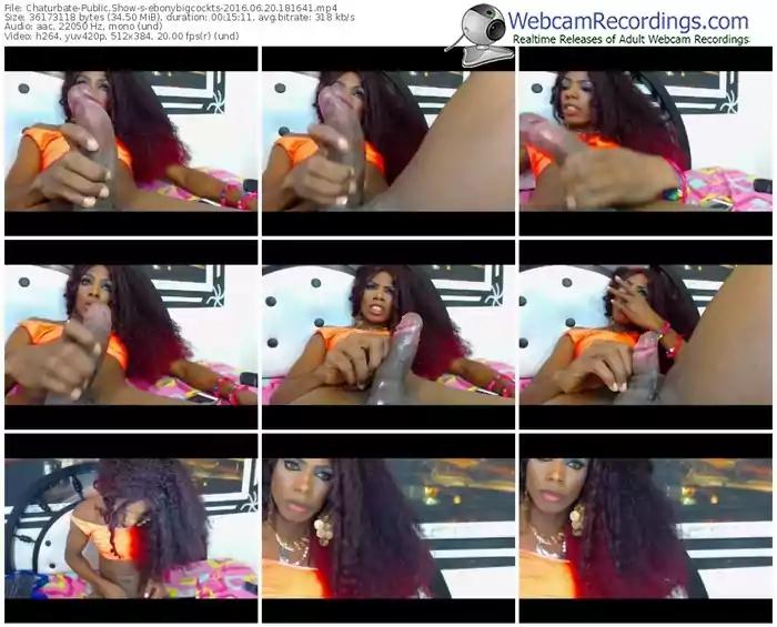 chaturbate-ebonybigcockts-webcam-show-06_20_2016-18_16_41