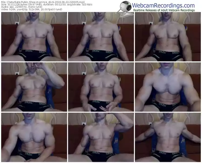 chaturbate-prince_d1ck-webcam-show-06_22_2016-22_00_05