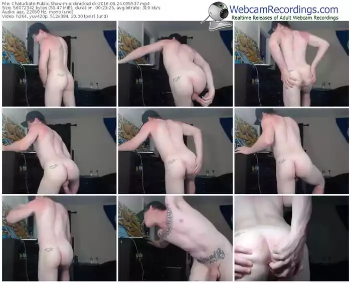 chaturbate-picknicksdick-webcam-show-06_24_2016-05_55_37