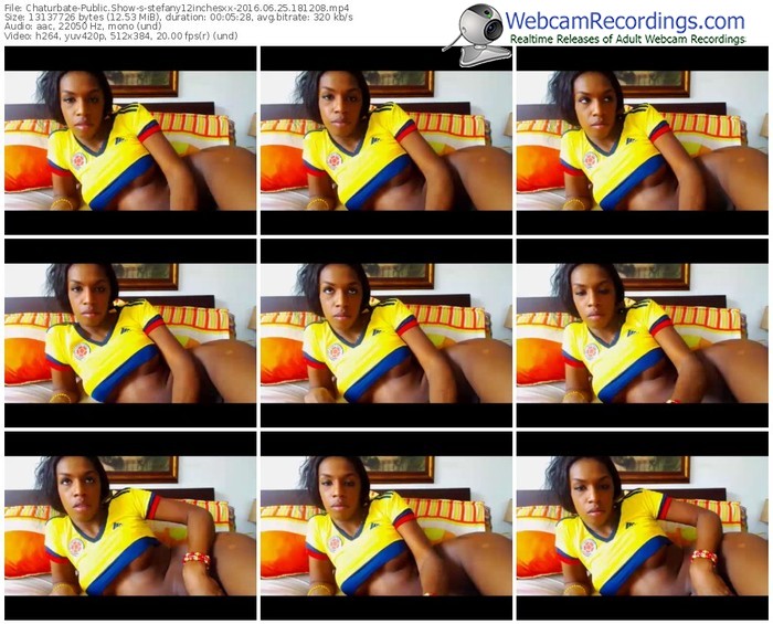 chaturbate-stefany12inchesxx-webcam-show-06_25_2016-18_12_08