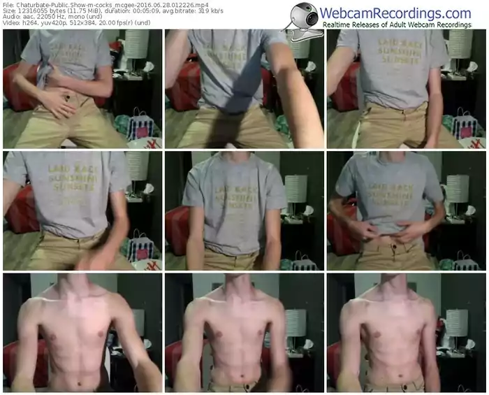 chaturbate-cocks_mcgee-webcam-show-06_28_2016-01_22_26