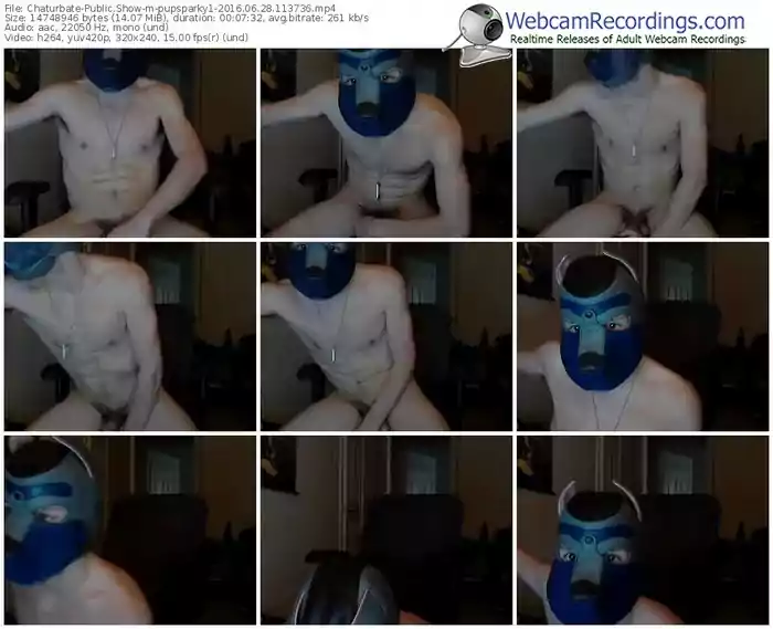 chaturbate-pupsparky1-webcam-show-06_28_2016-11_37_36