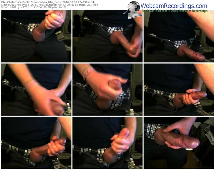 chaturbate-beautiful_penis-webcam-show-06_30_2016-22_48_39