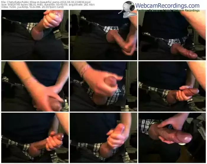 chaturbate-beautiful_penis-webcam-show-06_30_2016-22_48_39