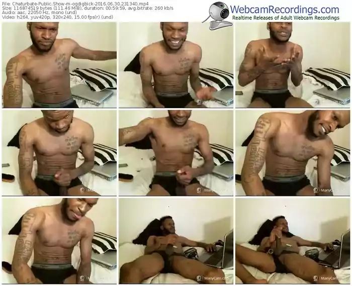 chaturbate-ogdigbick-webcam-show-06_30_2016-23_13_40