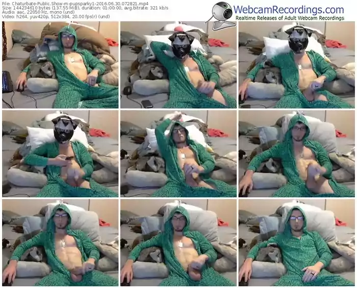 chaturbate-pupsparky1-webcam-show-06_30_2016-07_28_21