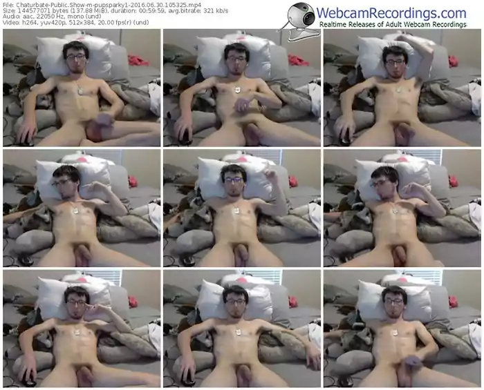 chaturbate-pupsparky1-webcam-show-06_30_2016-10_53_25