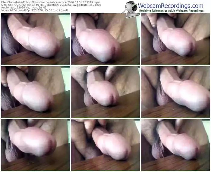 chaturbate-oldmanhorsecock-webcam-show-07_01_2016-08_33_49