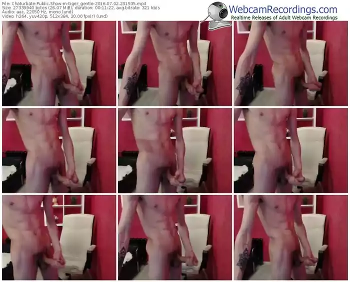 chaturbate-tiger_gentle-webcam-show-07_02_2016-23_19_35