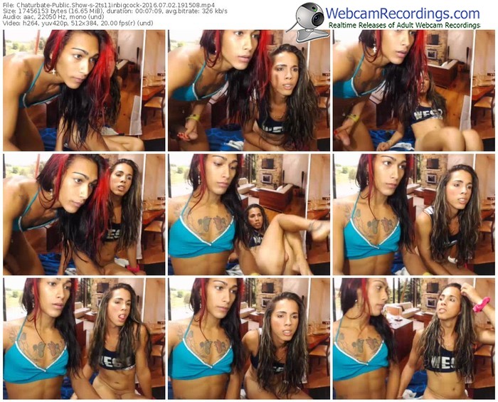 chaturbate-2ts11inbigcock-webcam-show-07_02_2016-19_15_08
